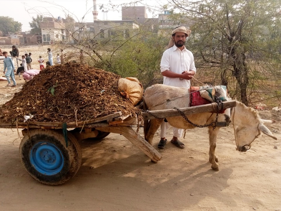 Loader Rickshaw