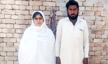 Live Stock
