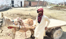 Loader Rickshaw