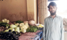 Fruit and Vegetable 