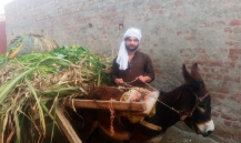 Loader Rickshaw