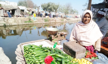 Fruits and vegetable cart