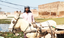Loader Rickshaw