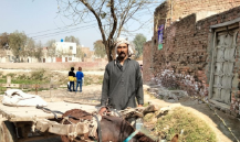 Loader Rickshaw