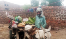 Muhammad Bashir