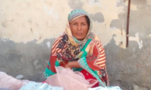 Shazia bibi
