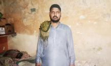 Khursheed Alam 