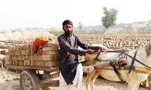 Muhammad Imran