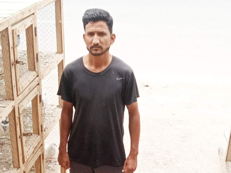 Birds Feed and pigeon shop.