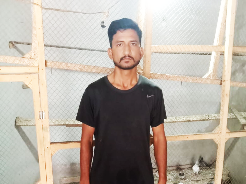 Birds Feed and pigeon shop.