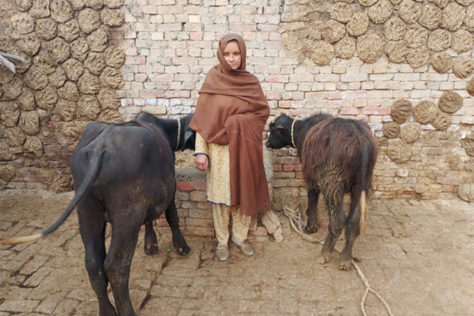 Samina Rafiq  - Business established