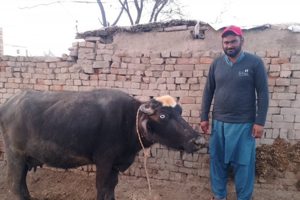 Muhammad Kashif - Business established