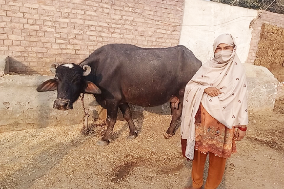 Khalida Sattar  - Business established