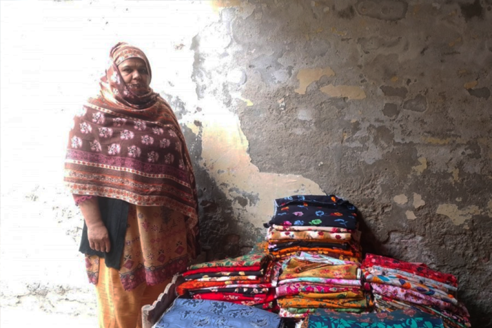 Noreen Bibi - Business established