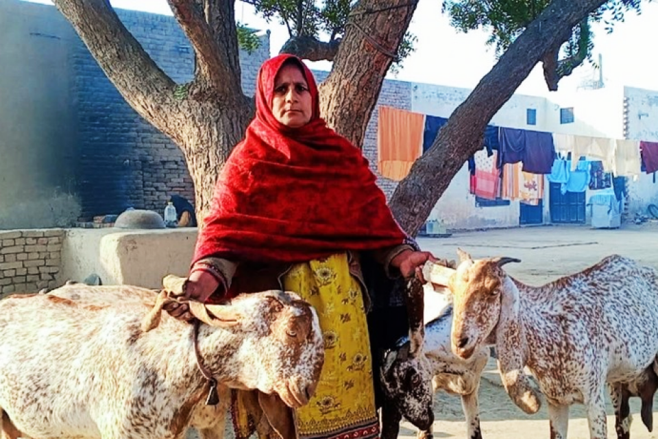 Nasreen Bibi - Business established