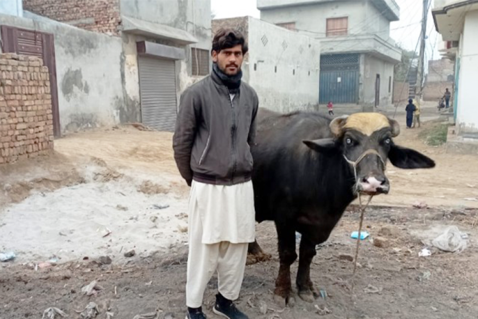 Hafiz Abdullah Abbas - Business established