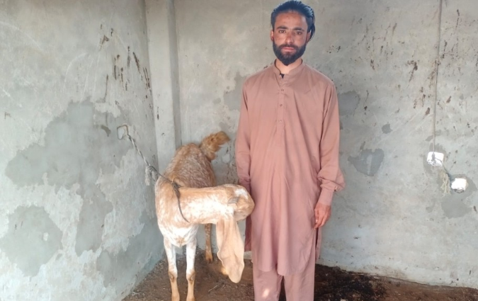 Muhammad Suleman Ali