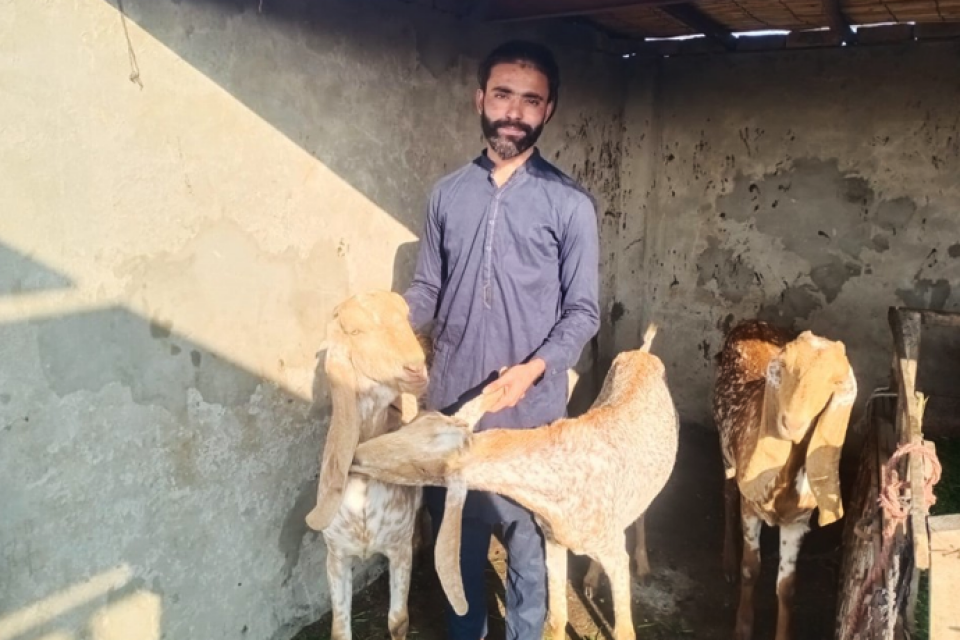 Muhammad Suleman Ali - Business established