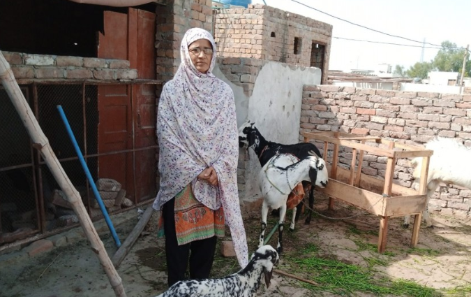 Farzana Naheed 