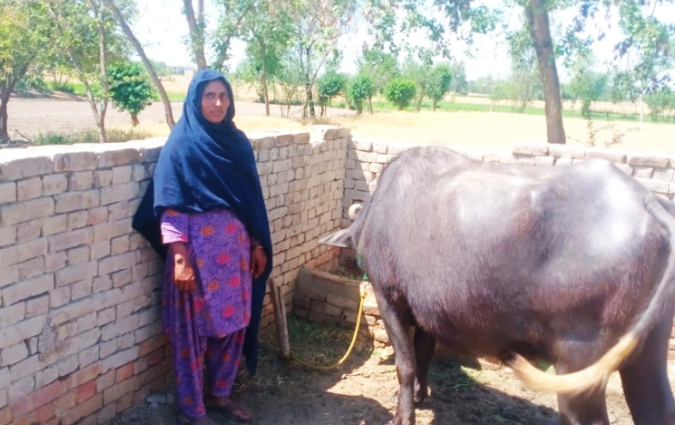 Asifa Bibi