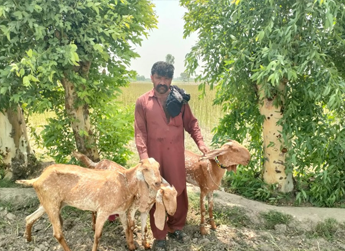 Kashif