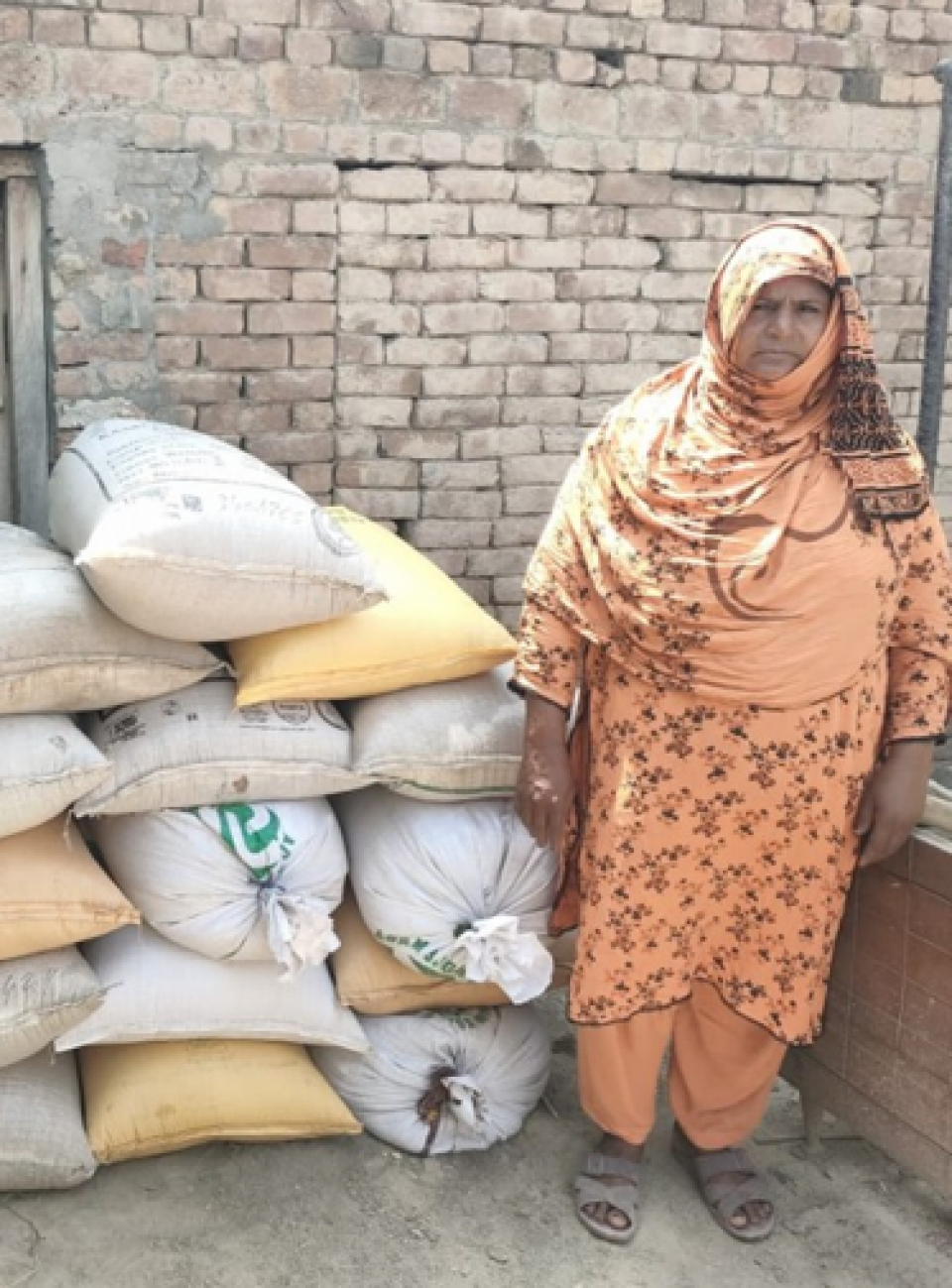 Nasreen Bibi - borrower shield box