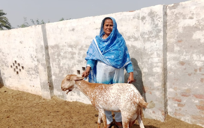Musarat bibi