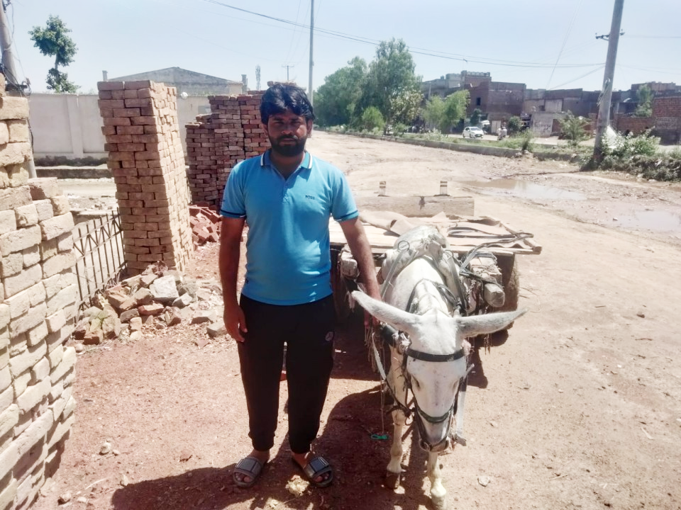 Donkey Cart