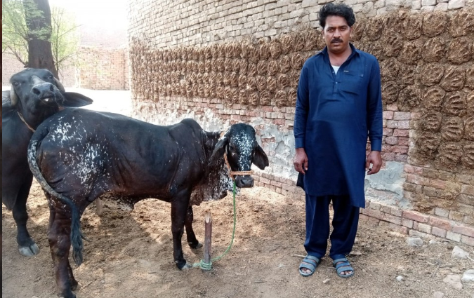 Muhammad Naeem