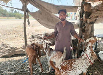 Naeem Qadir 