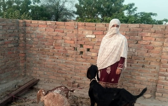 Bushra Hassan 
