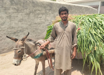 Rashid Mehmood 