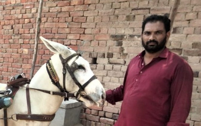 Donkey Cart