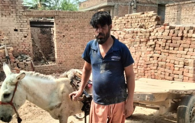 Donkey Cart